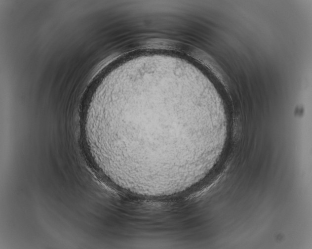 X0000096730829200803041221