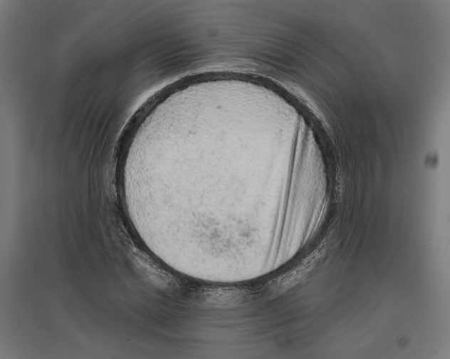 X0000096730830200803041221