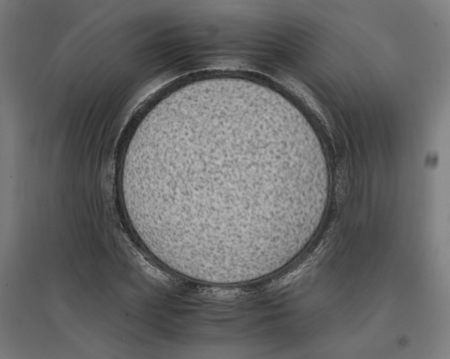 X0000096730831200803041221