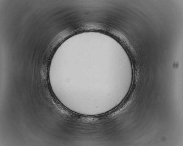 X0000096730833200803041221