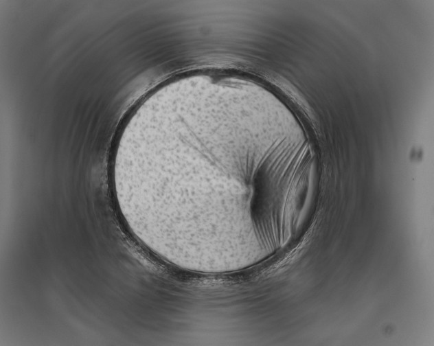 X0000096730834200803041221