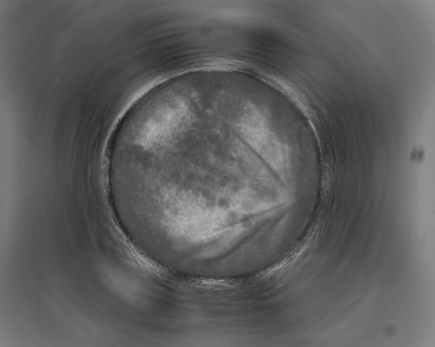 X0000096730835200803041221