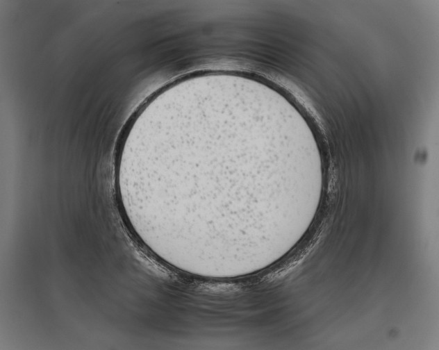 X0000096730837200803041221