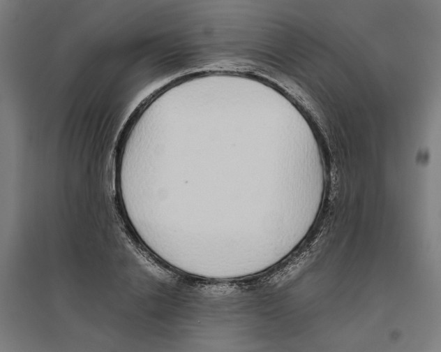 X0000096730838200803041221