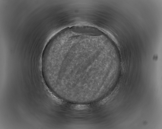 X0000096730839200803041221