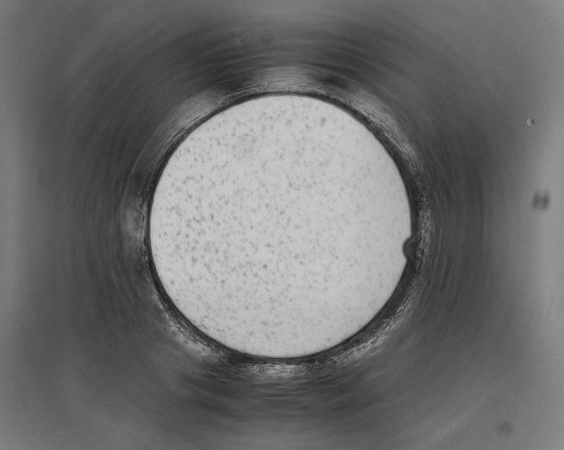 X0000096730841200803041221