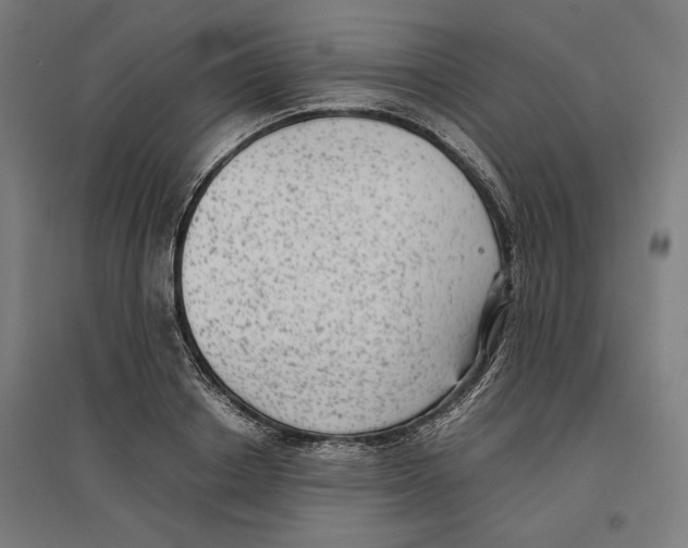 X0000096730842200803041221
