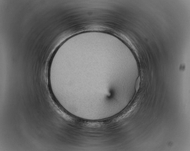 X0000096730843200803041221