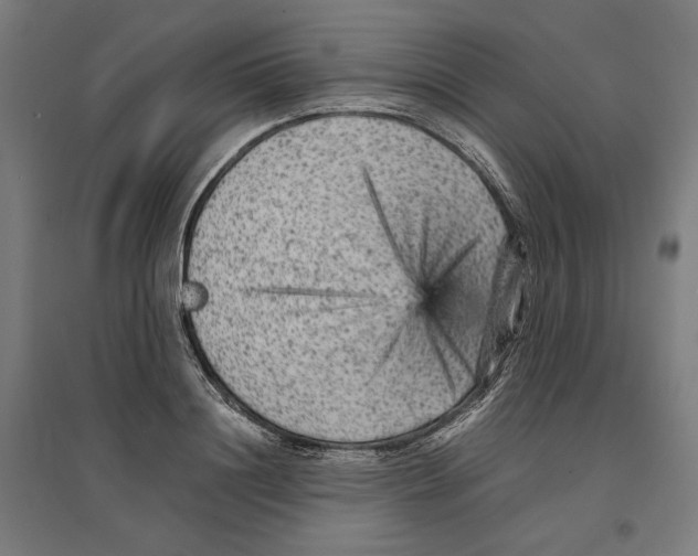 X0000096730844200803041221