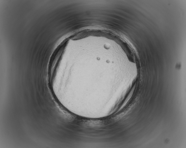 X0000096730845200803041221