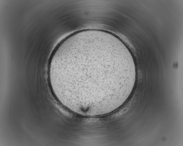 X0000096730846200803041221