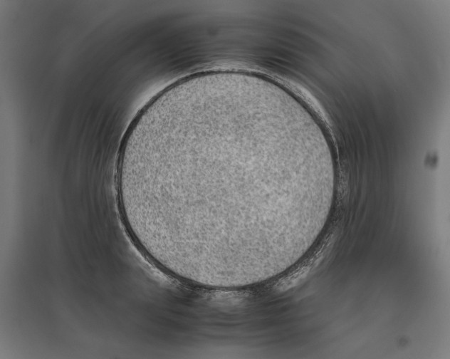 X0000096730847200803041221