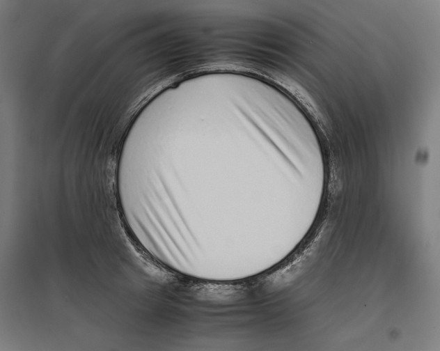 X0000096730849200803041221
