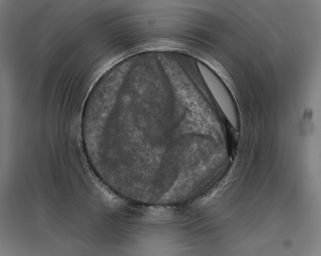 X0000096730850200803041221
