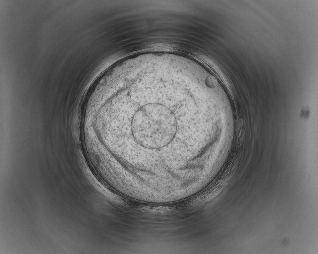 X0000096730851200803041221