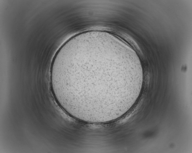 X0000096730852200803041221