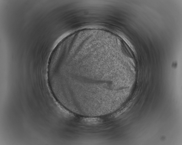 X0000096730853200803041221