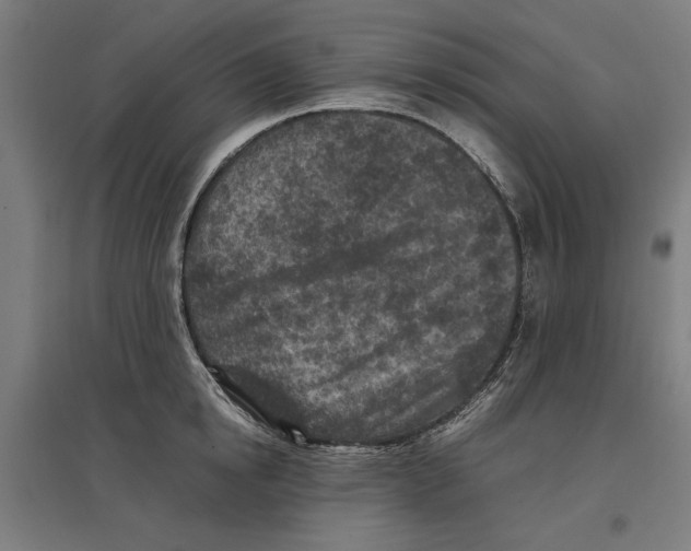 X0000096730854200803041221