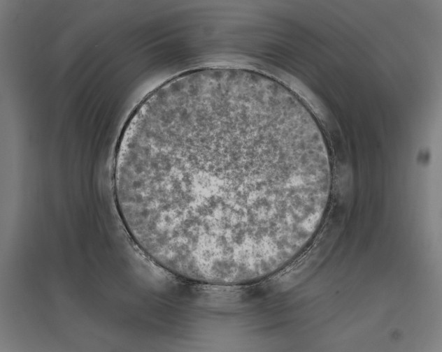 X0000096730856200803041221