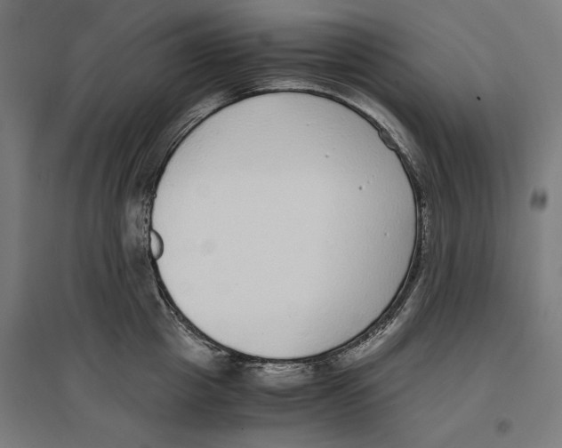 X0000096730857200803041221