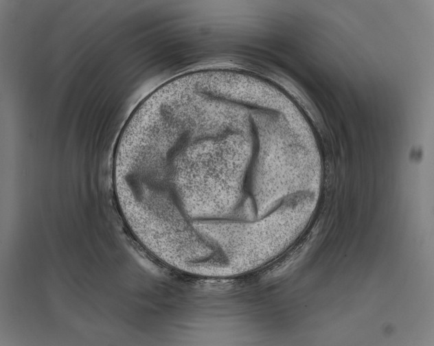 X0000096730858200803041221