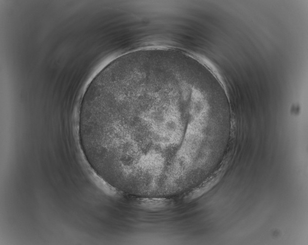 X0000096730859200803041221