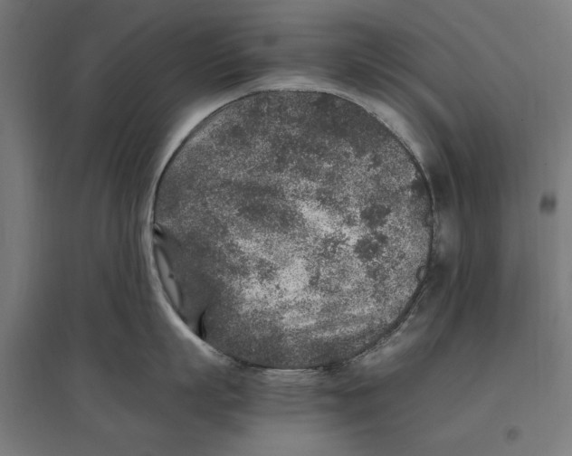 X0000096730863200803041221
