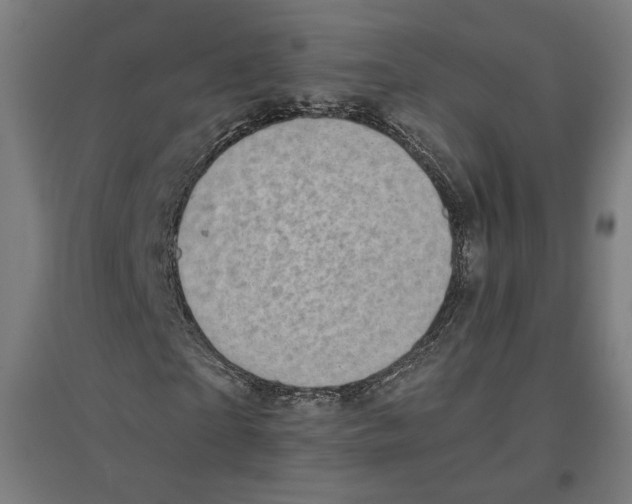 X0000096730865200803041221