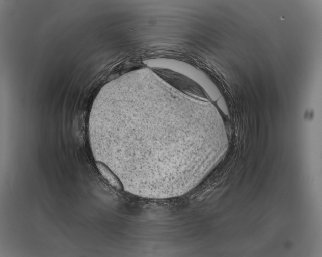 X0000096730868200803041221
