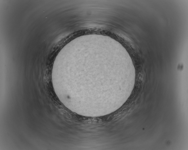 X0000096730869200803041221