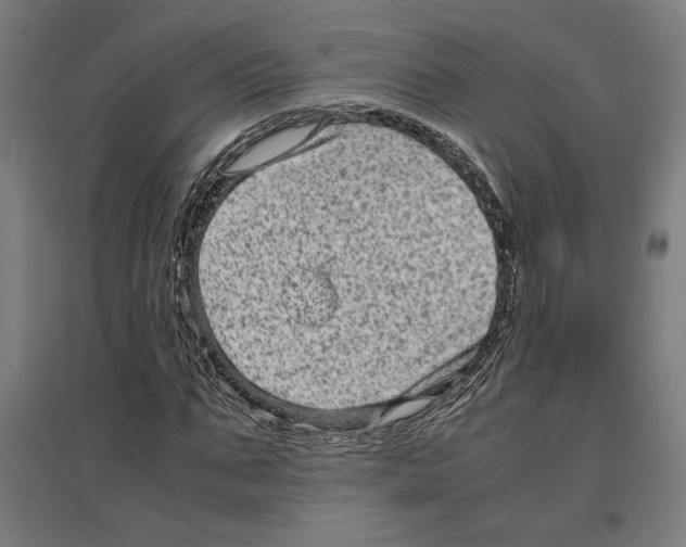 X0000096730871200803041220