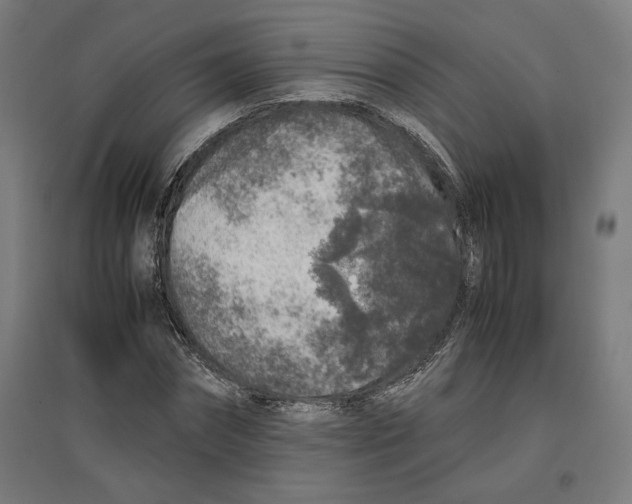 X0000096730874200803041220