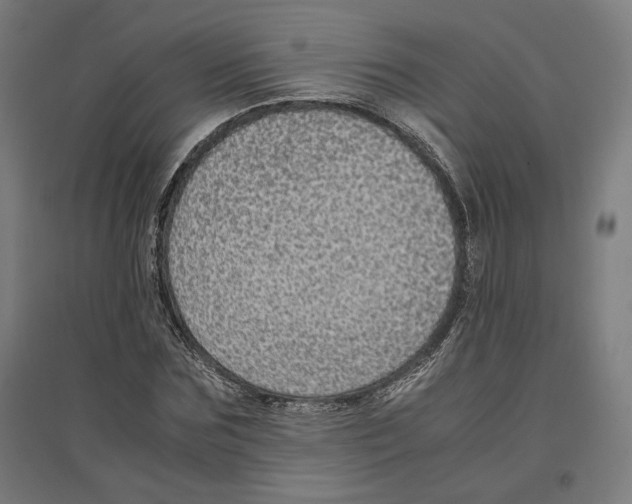 X0000096730875200803041220