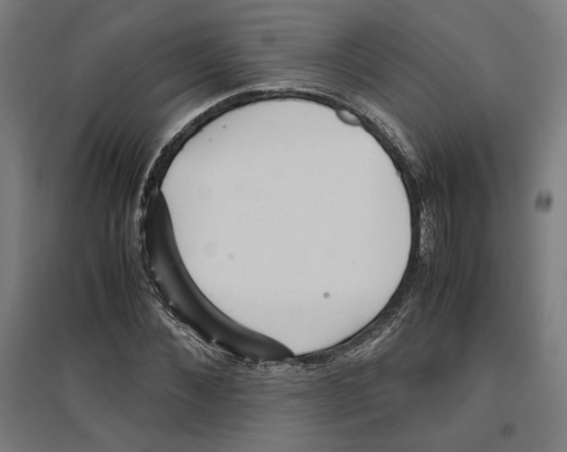 X0000096730876200803041220