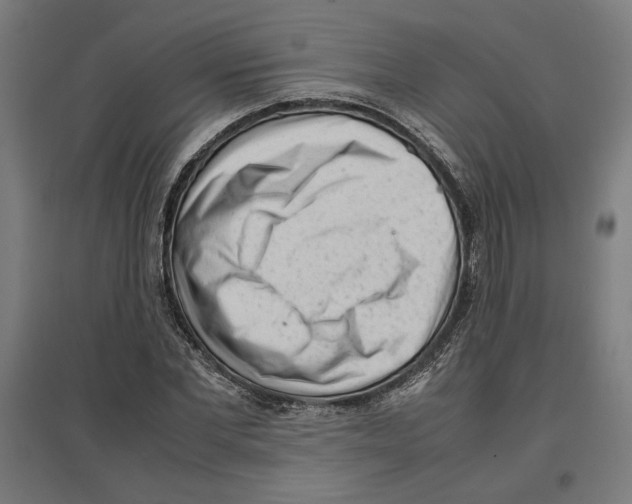 X0000096730877200803041220