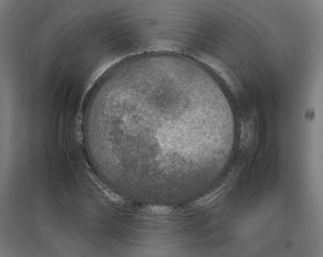 X0000096730878200803041220