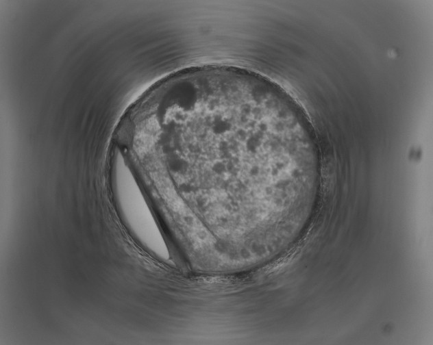 X0000096730879200803041220