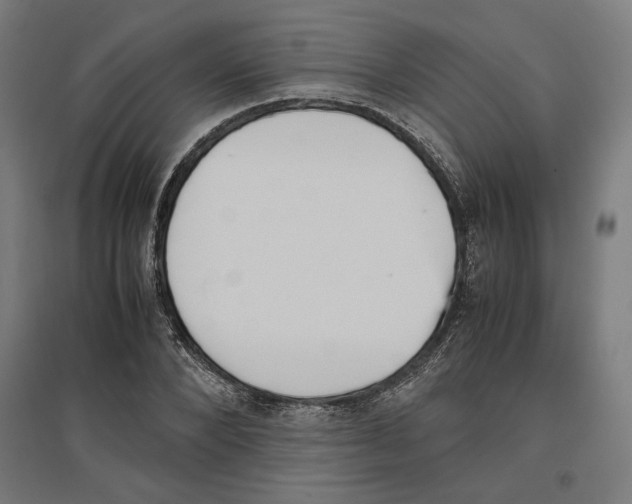 X0000096730880200803041220