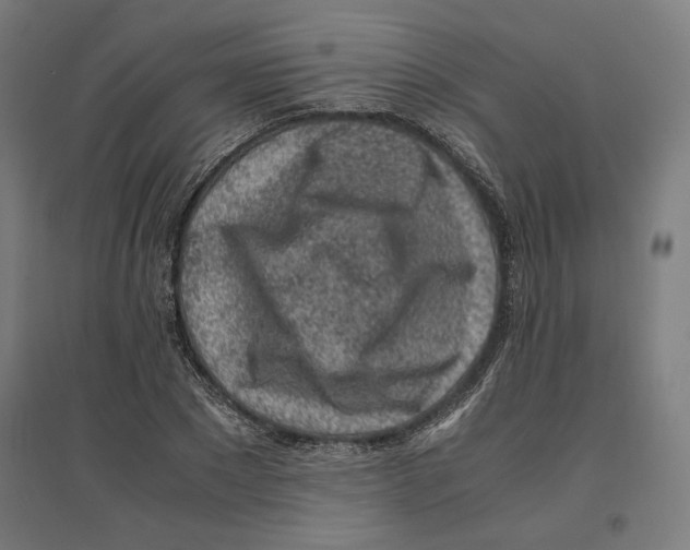 X0000096730881200803041220