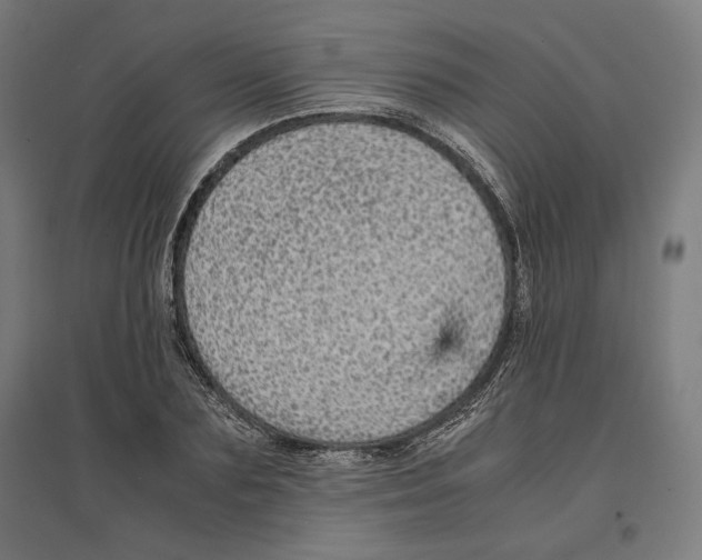 X0000096730883200803041220