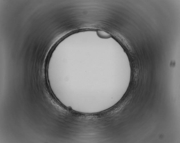 X0000096730884200803041220