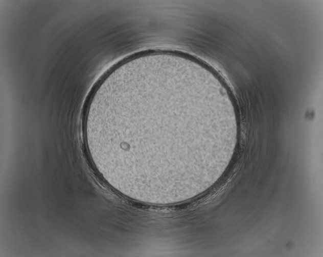 X0000096730887200803041220
