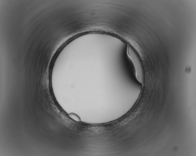 X0000096730888200803041220