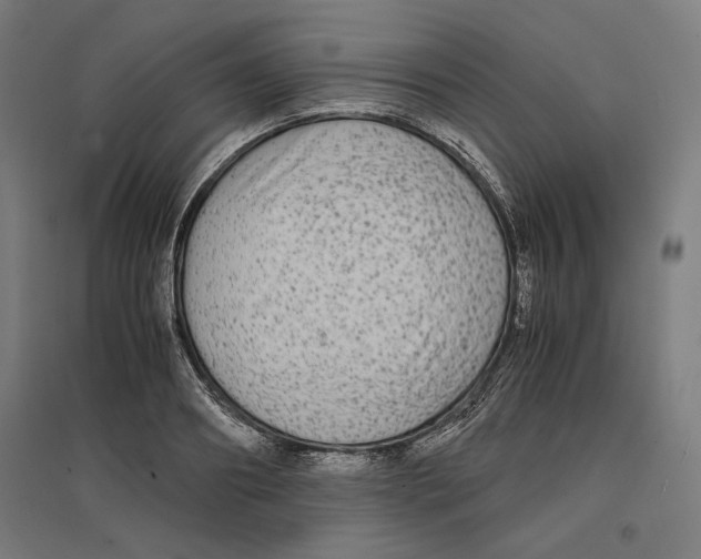 X0000096730890200803041220