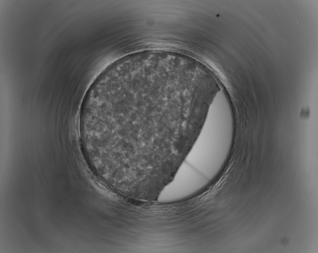 X0000096730891200803041220