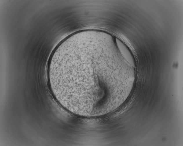 X0000096730892200803041220
