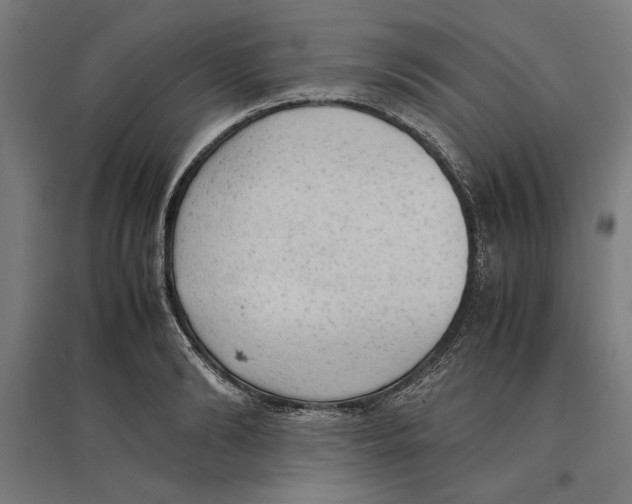 X0000096730894200803041220