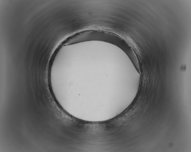 X0000096730896200803041220