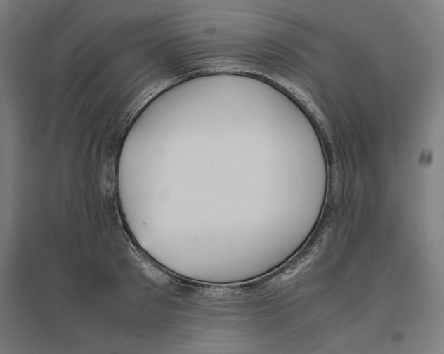 X0000096730897200803041220