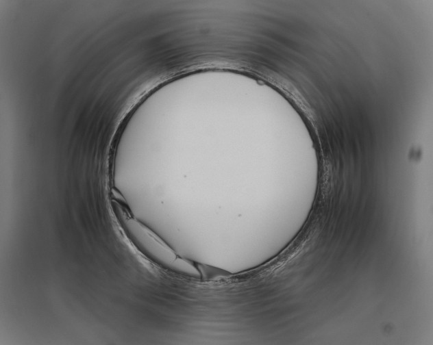 X0000096730898200803041220
